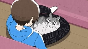 Nights With a Cat: 1×19