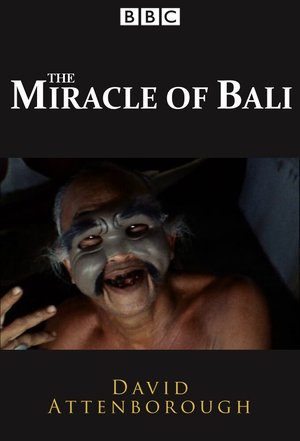 The Miracle of Bali poster