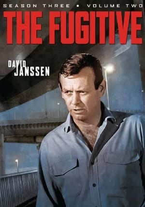 The Fugitive