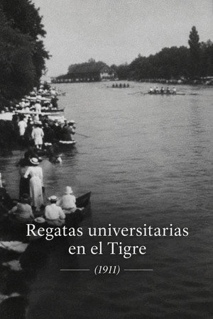 Regatas universitarias en el Tigre