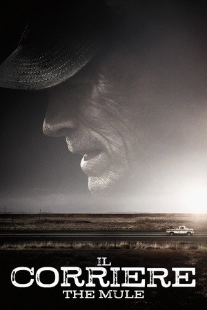 The Mule 113