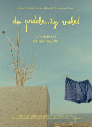 Do prdele… Ty vole!