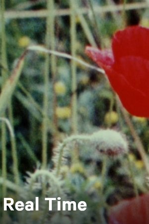 Nonton film Real Time (1971) terbaru sub indo Nonton film Real Time (1971) terbaru sub indo