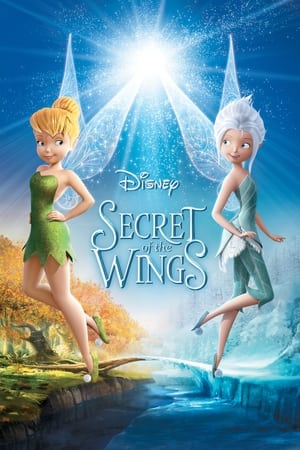 Poster Secret of the Wings 2012