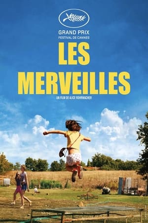 Poster Les merveilles 2014