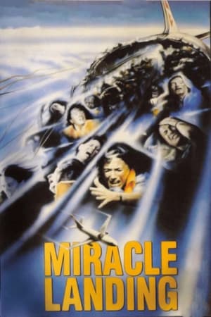 Poster Miracle Landing 1990