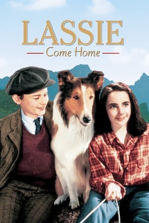 Image Lassie, la cadena invisible