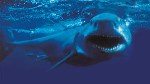 فيلم Shark Attack 2 2001 مترجم HD