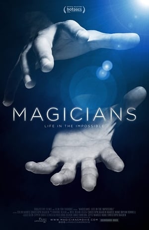 Poster Magicians: Life in the Impossible (2016)