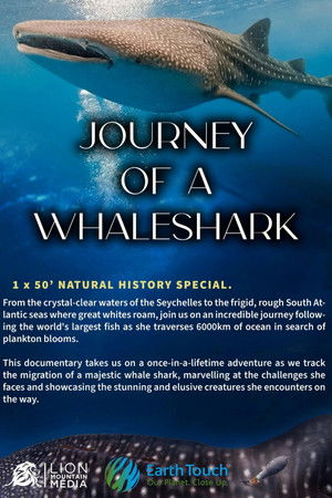 Journey of a Whale Shark
