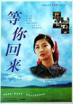 Poster 等你回来 1997