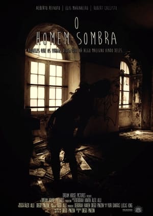 Poster O Homem Sombra (2017)