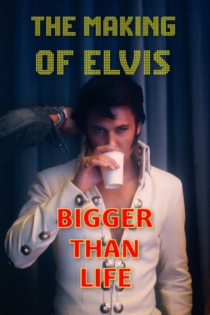 Image Bigger Than Life - The Making of Elvis