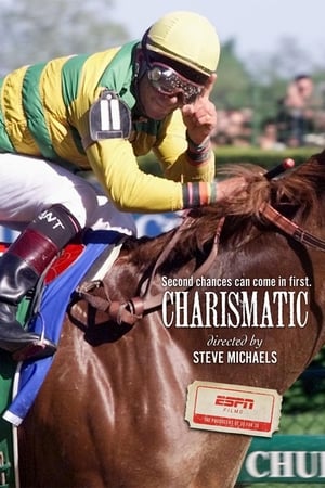 Poster Charismatic 2011