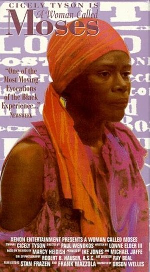 A Woman Called Moses poster