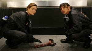 Ver Bones 4×6 Temporada 4 Capitulo 6 Español Latino