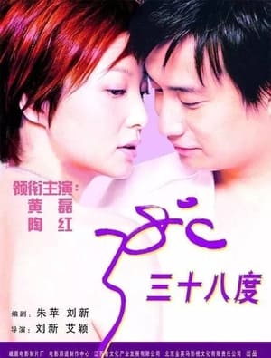 Poster 38 Degrees (2003)