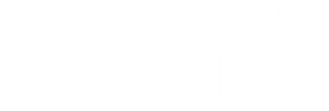 Africa's Wild Year
