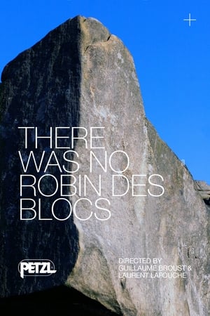 Poster There Was No Robin des Blocs 2011