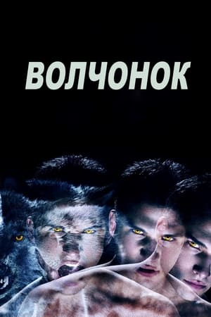 Poster Волчонок Сезон 6 Талант 2017