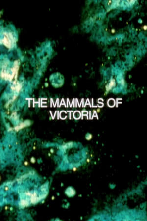 Poster The Mammals of Victoria 1994