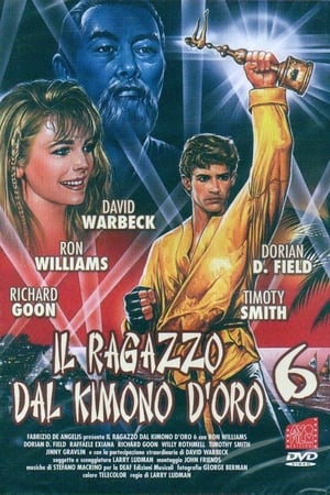 Poster Karate Warrior 6 1993