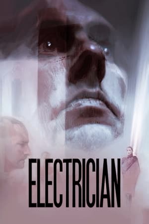 Poster Electrician 2020