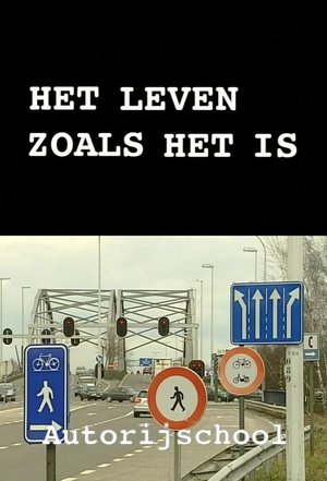 Het leven zoals het is: Autorijschool