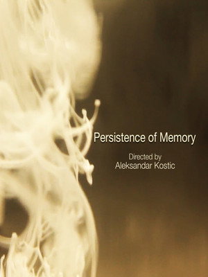 Persistence of Memory (2012)