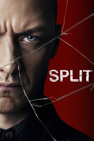 Nonton Drama Korea Split (2017)