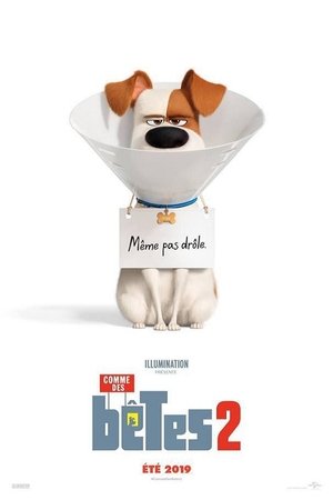 <Images posters