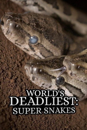 World's Deadliest: Super Snakes (2019)