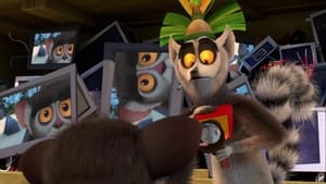 All Hail King Julien Lord of the Fruit Flies