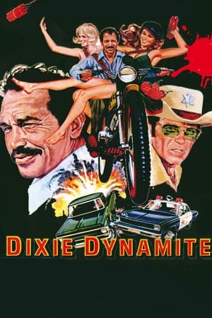 Poster Dixie Dynamite 1976