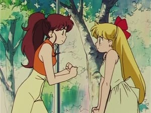 Sailor Moon Dispute Over Love: Minako and Makoto's Conflict