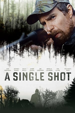 Poster A Single Shot 2013