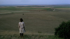 El espíritu de la colmena movie still 55
