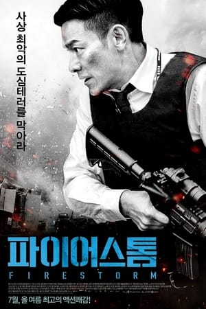 Poster 파이어스톰 2013