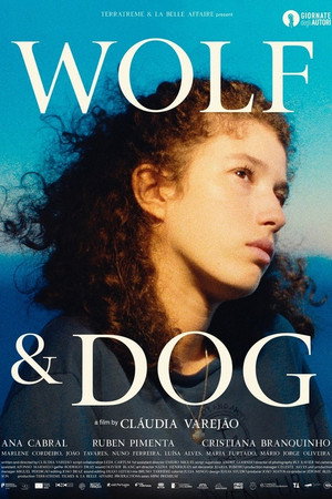 Wolf and Dog 17