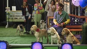 Una pareja de tres: Los años cachorros