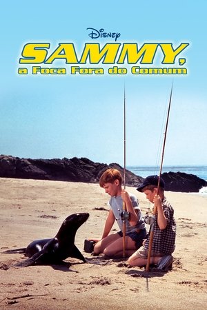 Image Sammy, the Way-Out Seal