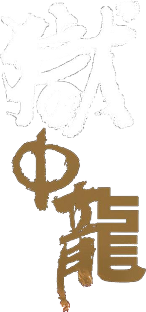 Dragon in Jail — Logos 1