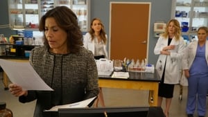 Grey’s Anatomy: Stagione 14 – Episodio 14