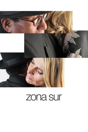 Poster Zona Sur 2009
