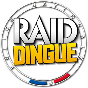 RAID Dingue