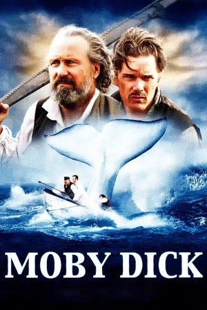 Moby Dick (2011) | Team Personality Map