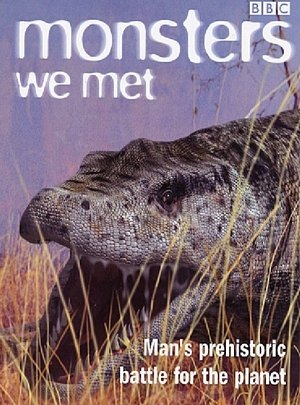 Monsters We Met poster