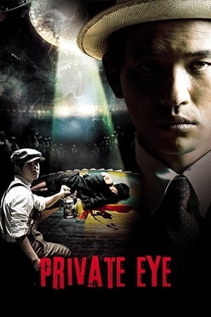 Poster Private Eye (2009)