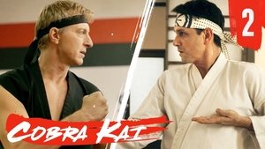 Cobra Kai Temporada 1 Capitulo 2