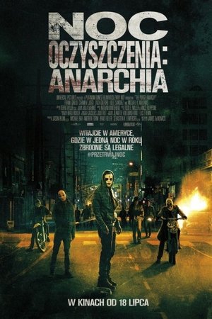 Poster Noc Oczyszczenia: Anarchia 2014